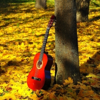 autumn with guitar