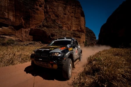 BMW X3 Rally Raid - rally, thrill, offroad, 4x4