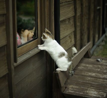 best friends - cats, child, cool, cute, friends, beautiful, photography