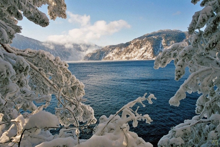 Lakeside Winter - ice, hills, water, snow, tree