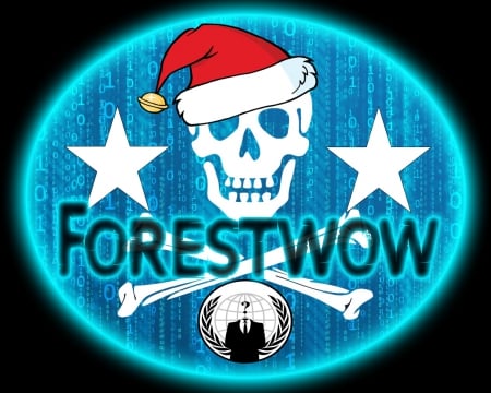 forestwOw HACK LOGO - skull, hacker, hack, matrix