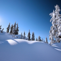 Winter scenery