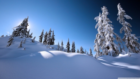 Winter scenery - sky, landscape, hills, pine forest, pine, winter, mountains, wallpaper, dunes, hd, nature, white, forest, snow, scenery, scene