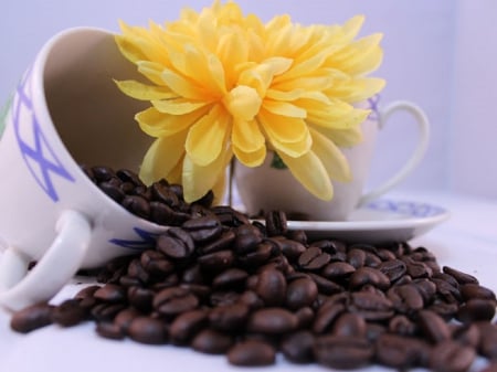 Coffee Cup - coffee, decoration, flower, cup