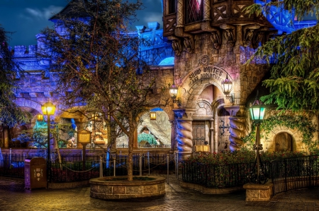 Beautiful lights - disneyland, night, lights, castle