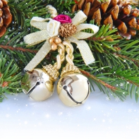 Merry Christmas!