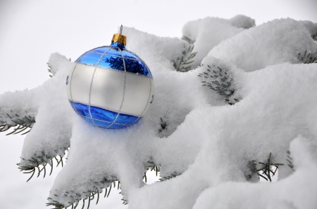 Happy Holidays - winter, ball, snow, holidays, christmas, winter time, xmas, merry christmas, magic christmasa