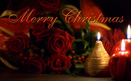 Merry Christmas - season, holidays, decoration, merry christmas