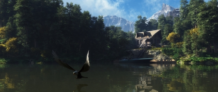 lake - house, trees, eagle, water, lake