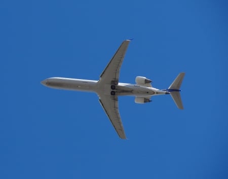 Underside View of the Bird - plane, aircraft, jet, flight, jet aircraft