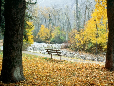 autumn park with a lonely bench - fall, forests, trees, nature, autumn, bench, park