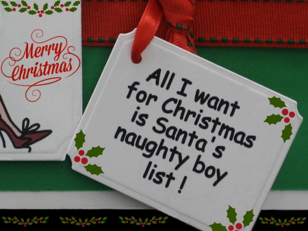 All I Want For Christmas... - merry christmas, message, sign, ribbon, humor, funny, holly, christmas