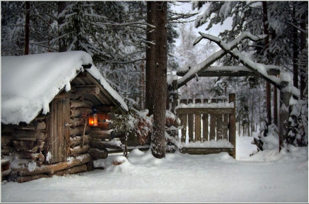 Cabins in Forest