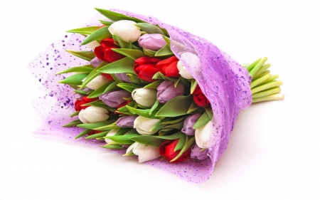 Bouquet Of Tulips - purple, tulips, bouquet, love, mixcolors