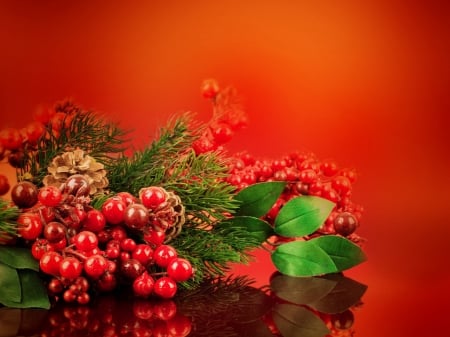 Christmas background - winter, decoration, beautiful, reflection, christmas, berries, holiday, new year, red, background