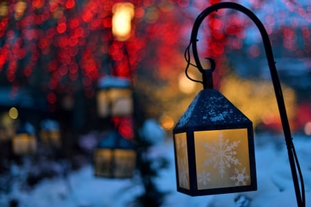 Simply Beautiful - bokeh, sky, xmas, trees, photography, sun, magic christmas, wonderful, cold, lantern, tree, ice, snowflake, light, winter, night, snowflakes, lovely, christmas, nature, merry christmas, snow, beautiful, splendor, photo, lights