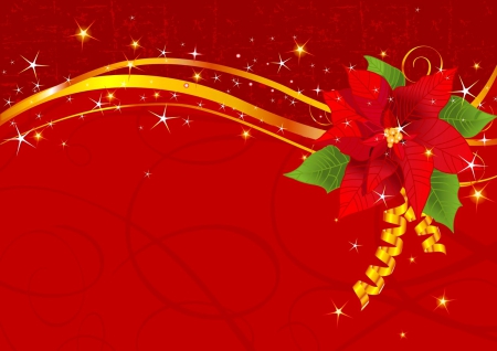 Christmas background - red, flower, pretty, winter, beautiful, leaves, christmas, holiday, background, nice, lovely, new year