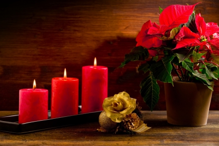 Christmas still life - candles, room, colorful, rose, still life, christmas, flame, red, holiday, pot, flower