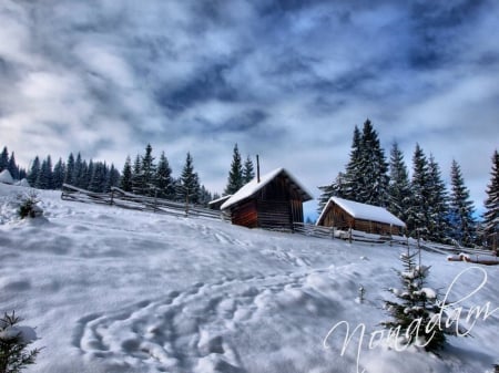 Wintertime - cabins, landscape, clouds, trees, snow