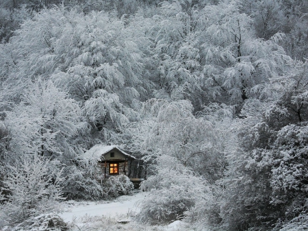 Winter Wonderland - ice, trees, landscape, snow, cottage