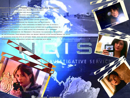 NCIS Kate R.I.P. - caitlin todd, ncis