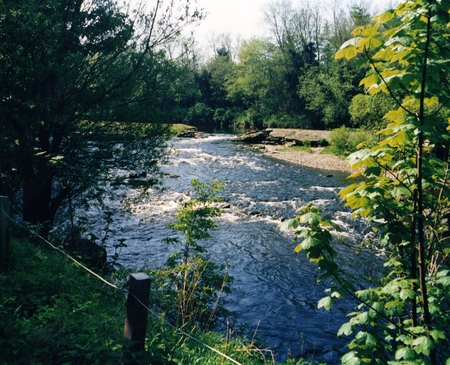 Summer River in Scotland - river, summer, blue, leafy, scotland