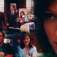 The NCIS Team