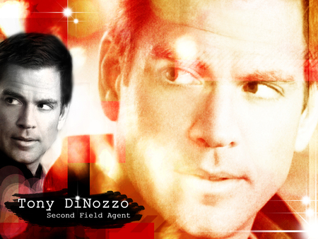 NCIS Second Field Agent - tony di nozzo, ncis