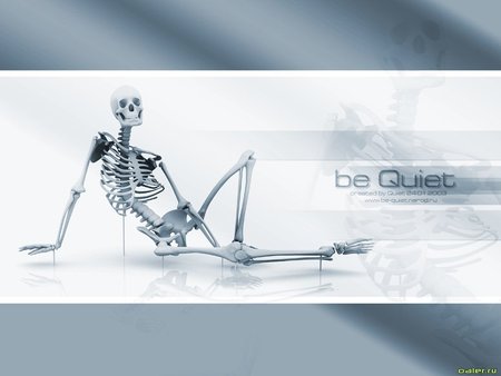 Be Quiet - skeleton, propped, 3d, display