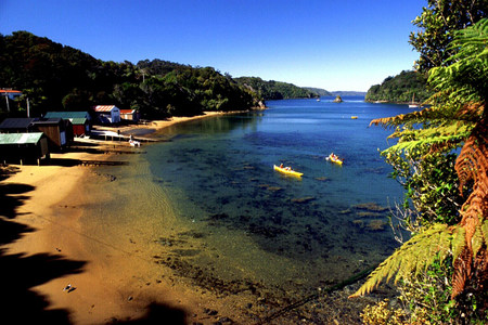 Stewart Island - cove, beach, half moon bay, island, tropical