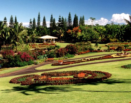 Nani Mau Garden - lawn, trees, palms, flowers, garden