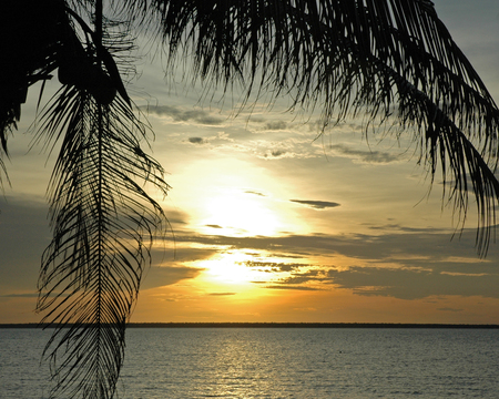 Sunset Darwin - palms, ocean, sunset, tropical