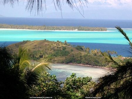 Bora Bora - beach, ocean, bora bora, palms, island, tropical