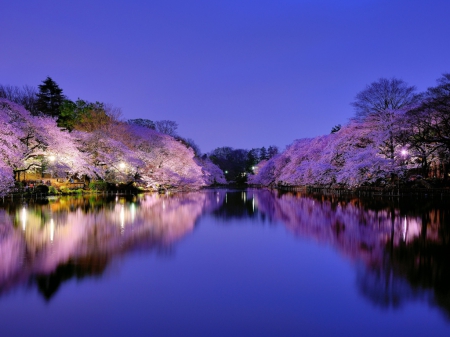 Osaka Japan - sky, trees, flowering, city images, japan wallpapers, cherries, osaka backgrounds, reflection, blossoms, dusk, lake, light, night, park, cherry, blue, cafe, lights