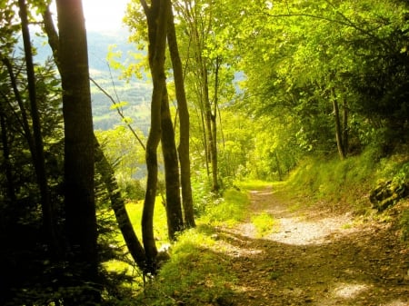 Isere River Valley, France - nature, fun, trees, forest, france