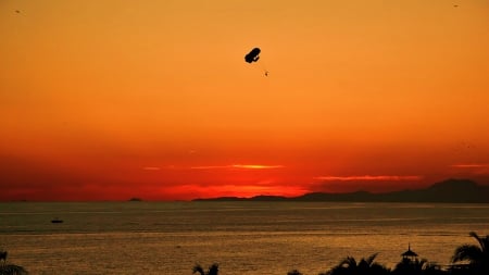 sentimental dance - nat king cole, blue dance, birds, summer, beach, sea, sunsets, piano rosa