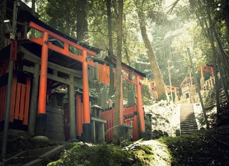 Inari Temple - shrine, japan, garden, temple, forest, japanese