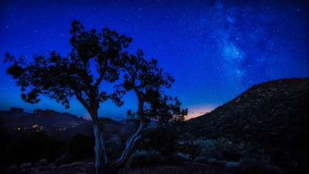 amazing starry night - hills, night, stars, tree, sky