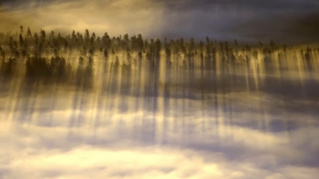 clouds - clouds, trees, nature, fog, sky