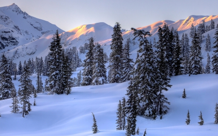 Winter in The Mountains - mountains, winter, landscapes, nature, sunrise, snow