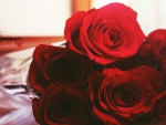 Red Roses