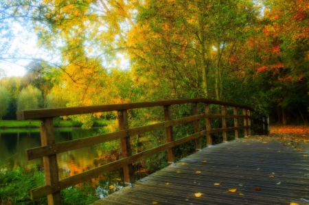 Autumn - trees, splendor, leaves, fall, nature, autumn, autumn splendor, lake, bridge