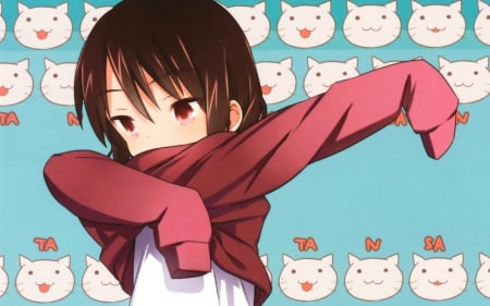 anime - anime, neko, kawaii, blue