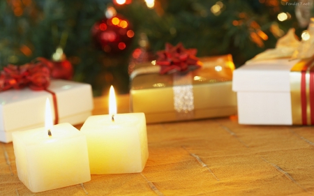 Christmas candles - christmas, candles, tree, photography