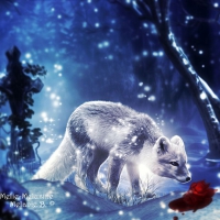 Fox and bloody rose