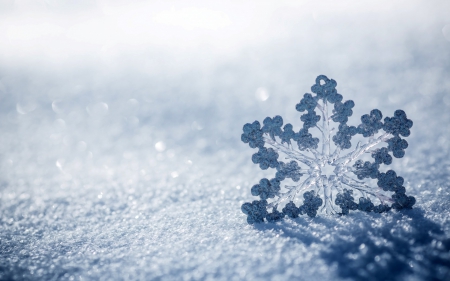 Snow Flake - blue ice, ice, winter, nature, season, snow, snow flake