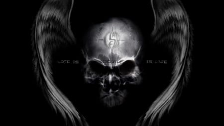 skull - death, dark, skulls, life