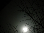 Moon meets Jupiter