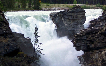 Sunwapta Falls ~ Jasper Nat'l. Park - canada, waterfalls, jasper, rocks