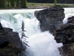 Sunwapta Falls ~ Jasper Nat'l. Park